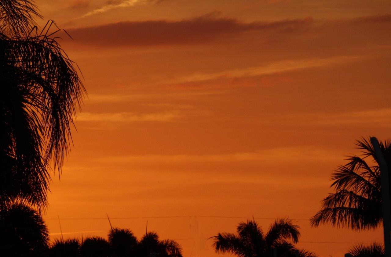 Florida Sky